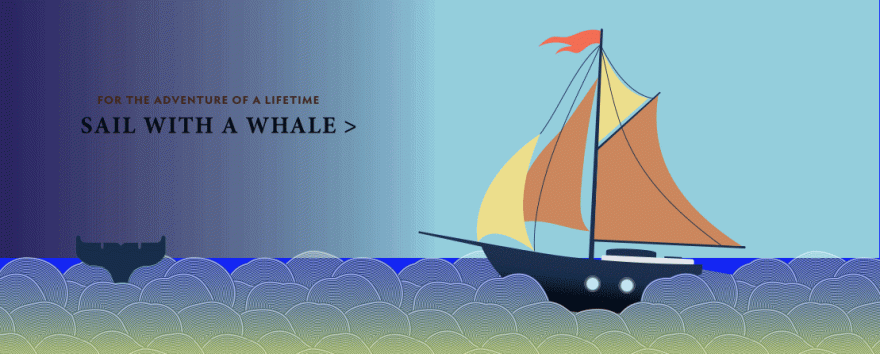 SailWhaleBanner_gradient